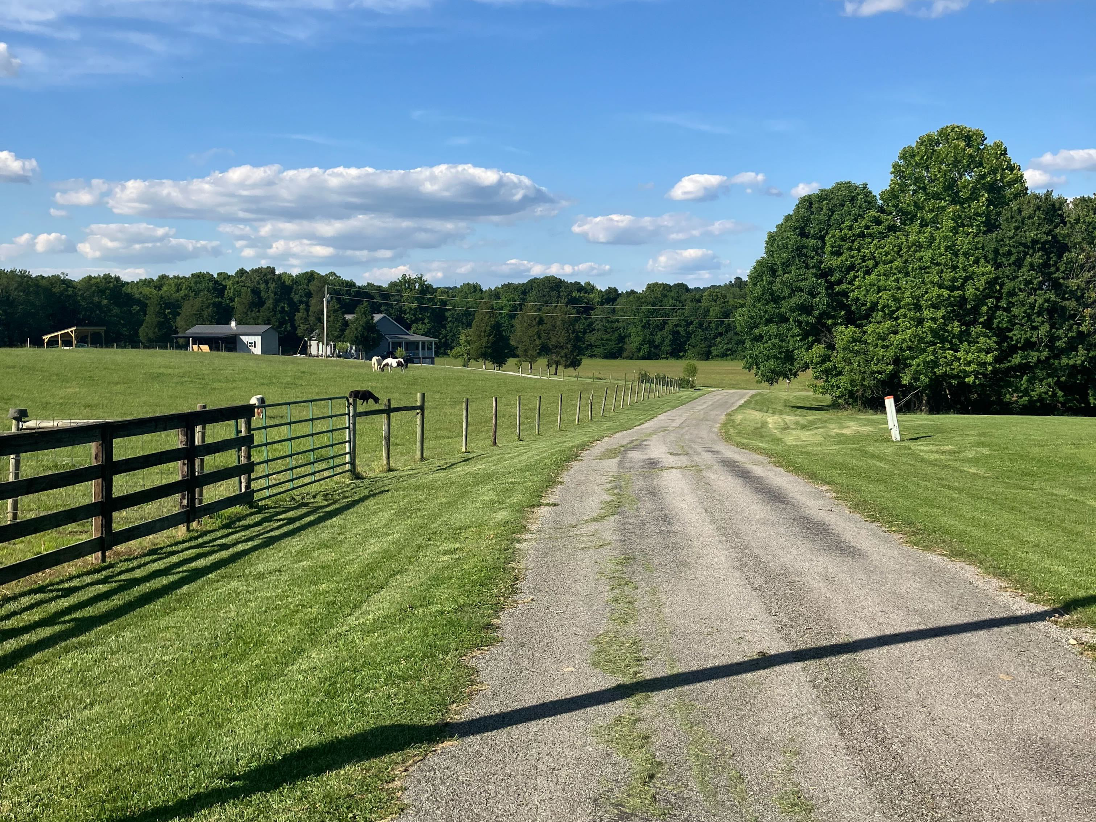 An image of the farm in Fredonia, KY.